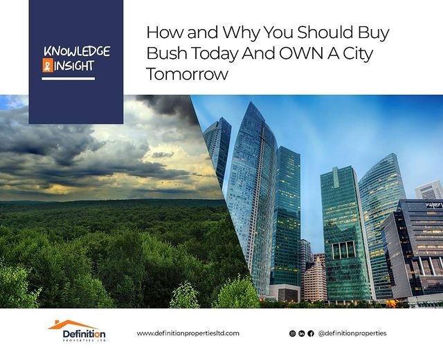 Own a city